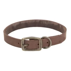 Rustic Leather Town Dog Collar, Chocolate 1" X 20"