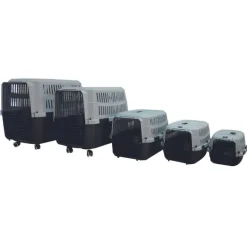 Transportador Viaggio