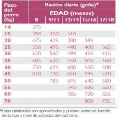 Virbac Alimento Junior Special Large