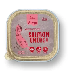 Winga Lata Salm N Energy