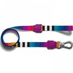 Zeedog Prisma Correa - Perro